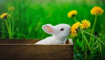 中国链球新星张家乐：期待站上奥运最高领奖台